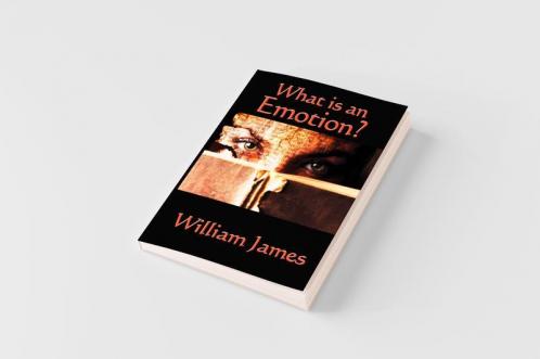 What Is an Emotion?