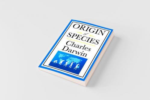 Origin of Species