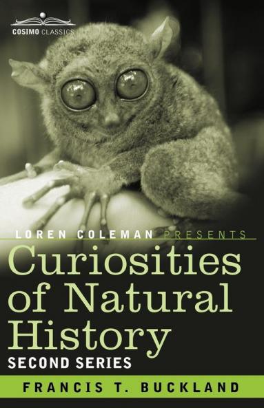Curiosities of Natural History in Four Volumes: Second Series
