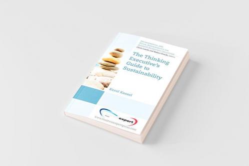 The Thinking Executive's Guide to Sustainability