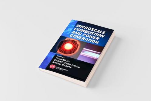 Microscale Combustion and Power Generation