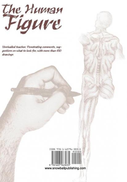 The Human Figure