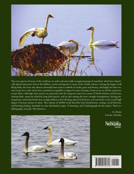 Swans