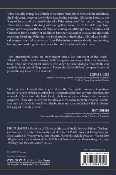 Christ at the Checkpoint: Theology in the Service of Justice and Peace: 4 (Pentecostals Peacemaking and Social Justice Series)