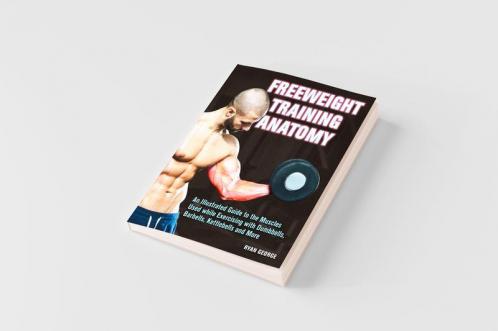 Freeweight Training Anatomy