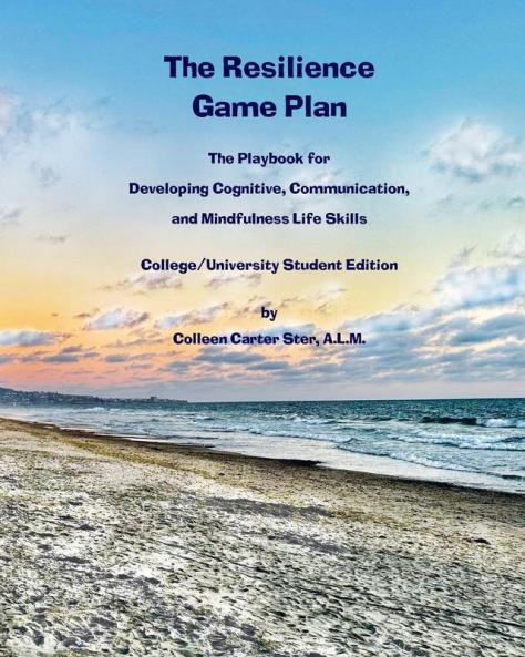 The Resilience  Game Plan