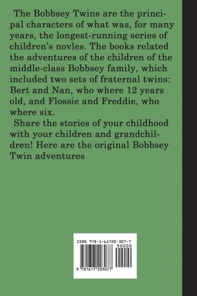 The Bobbsey Twins at the Seashore