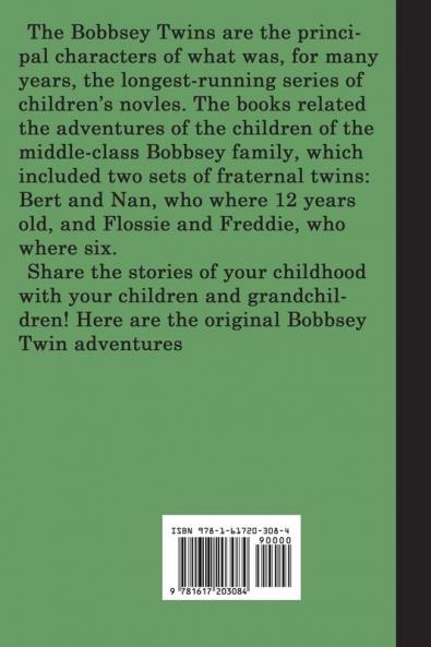 The Bobbsey Twins at Snow Lodge