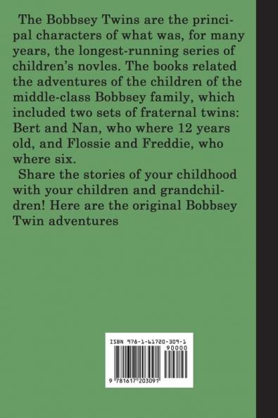 The Bobbsey Twins on Blueberry Island