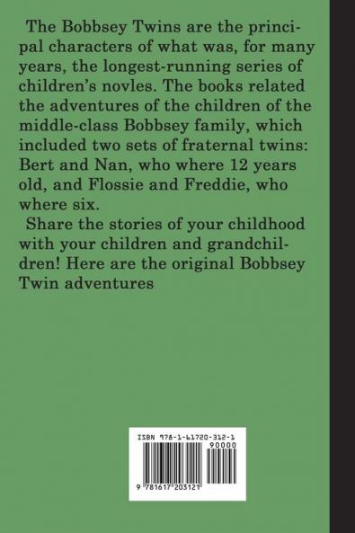 The Bobbsey Twins In a Great City