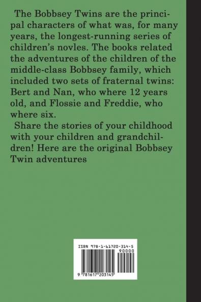 The Bobbsey Twins In Washington