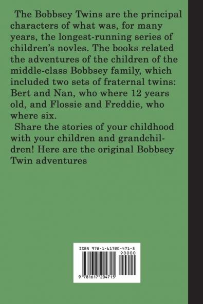 The Bobbsey Twins at Cedar Camp