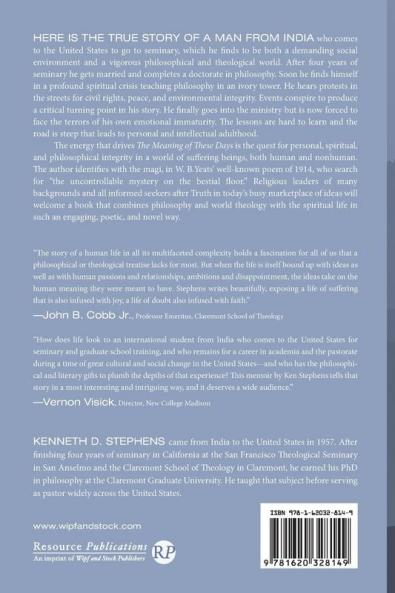 The Meaning of These Days: Memoir of a Philosophical Pastor