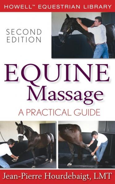 Equine Massage