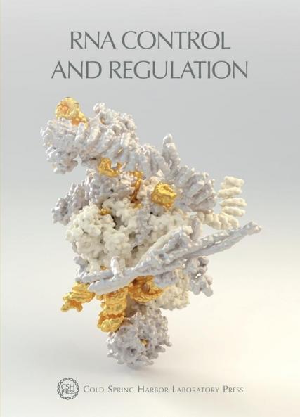 RNA Control and Regulation