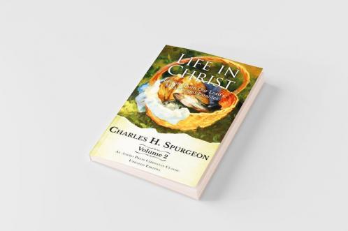 Life in Christ Vol 2