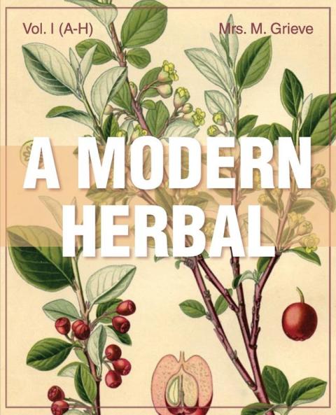 A Modern Herbal (Volume 1 A-H)