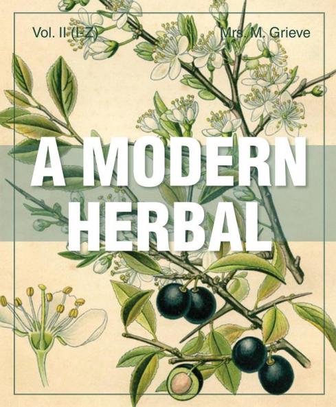 A Modern Herbal (Volume 2 I-Z and Indexes)