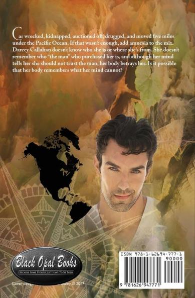 Inescapable Remembering: Book 2