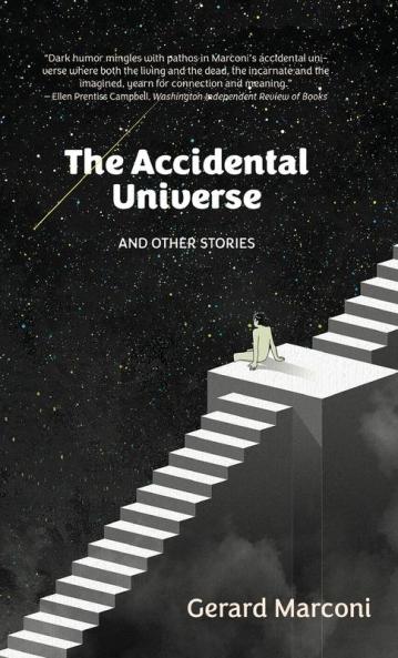 The Accidental Universe and Other Stories