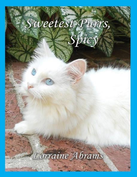Sweetest Purrs Spicy