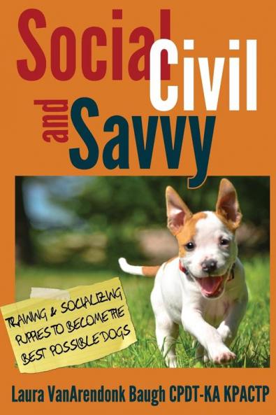 Social Civil and Savvy
