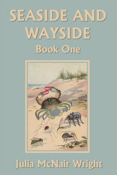 Seaside and Wayside Book One (Yesterday's Classics)