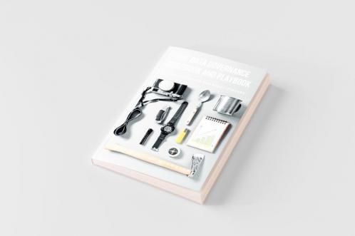 The Data Governance Guidebook and Playbook