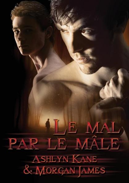 Le mal par le mâle