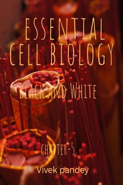 essential cell biology 5 (black and white) : chapter-5