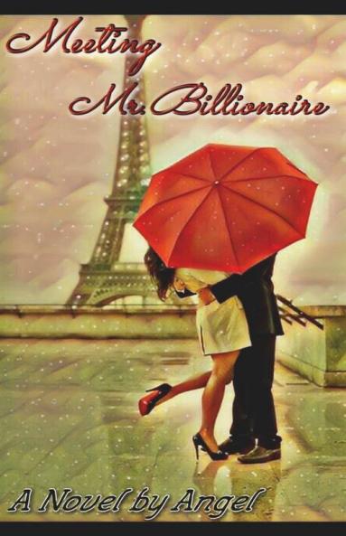 Meeting Mr. Billionaire
