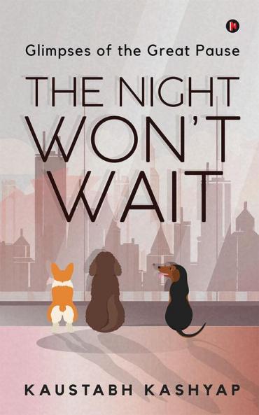 The Night Won't Wait : Glimpses of the Great Pause