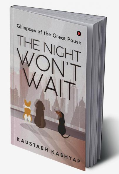 The Night Won't Wait : Glimpses of the Great Pause