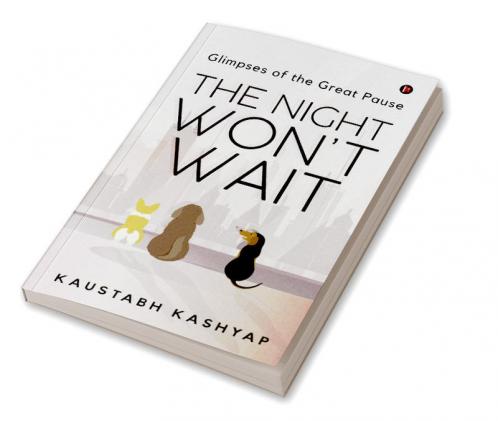 The Night Won't Wait : Glimpses of the Great Pause