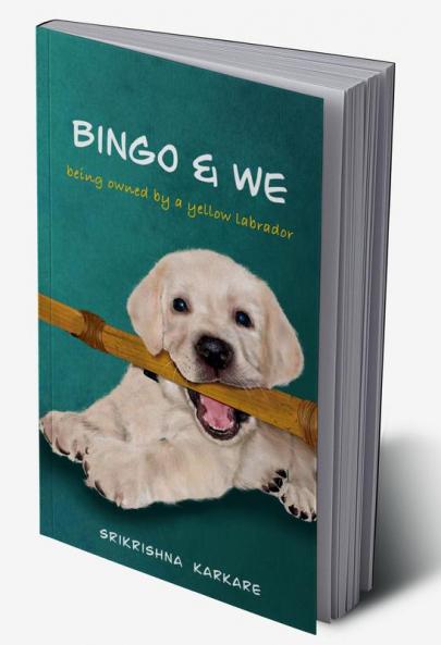 Bingo &amp; We : Being owned by a yellow Labrador
