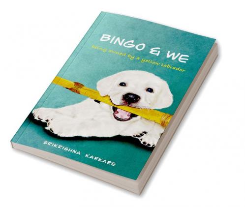 Bingo &amp; We : Being owned by a yellow Labrador