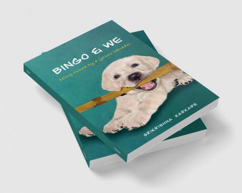 Bingo &amp; We : Being owned by a yellow Labrador