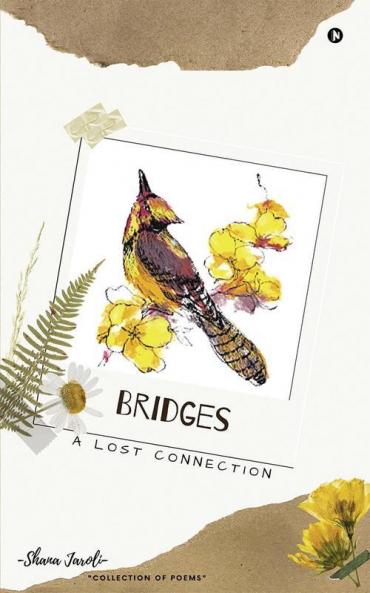 Bridges : A Lost Connection