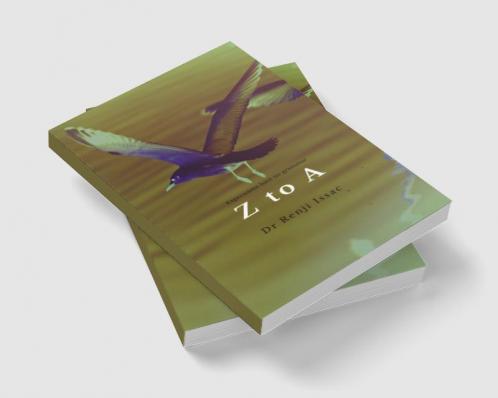 Z to A : Expressions have no grammar