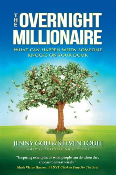 THE OVERNIGHT MILLIONAIRE