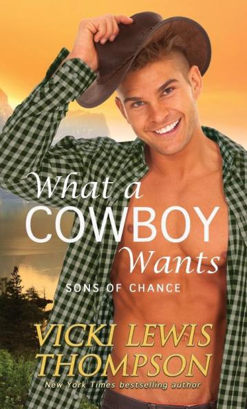 What a Cowboy Wants: 1 (Sons of Chance)