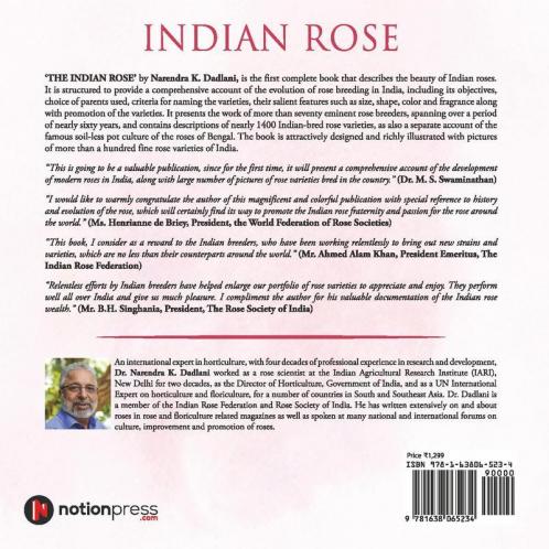 Indian Rose