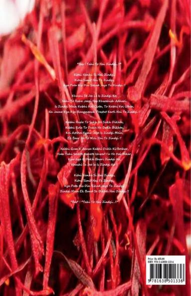 Ultimate Book of Recipes : For beginners by a beginner