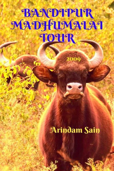 BANDIPUR MADHUMALAI TOUR