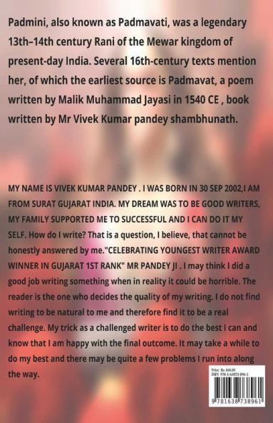 The Padmavati 2.O : Rani Padmini