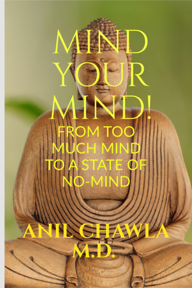Mind your Mind! : A journey from too much mind to a state of No-Mind!