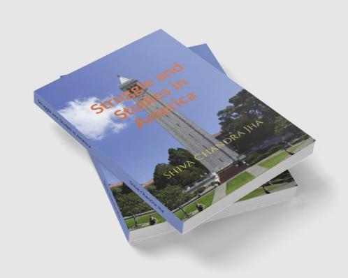 Struggle and Studies in America : A Student's Struggle in the US