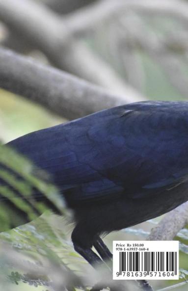 My Crow's Metre