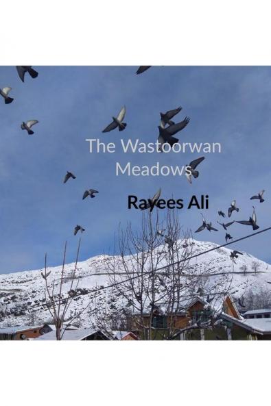 THE WASTOORWAN MEADOWS : POETRY COLLECTION