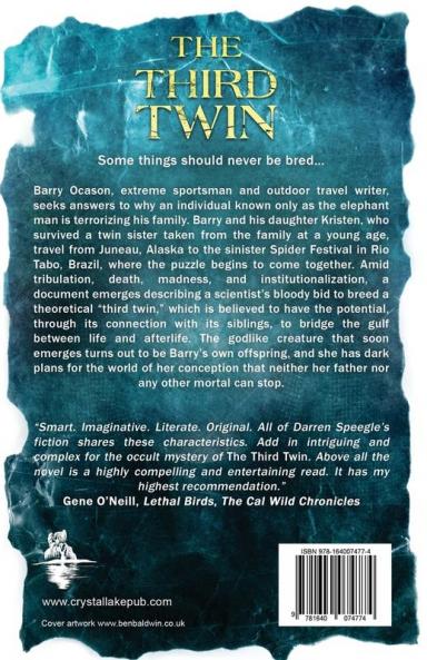 The Third Twin: A Dark Psychological Thriller